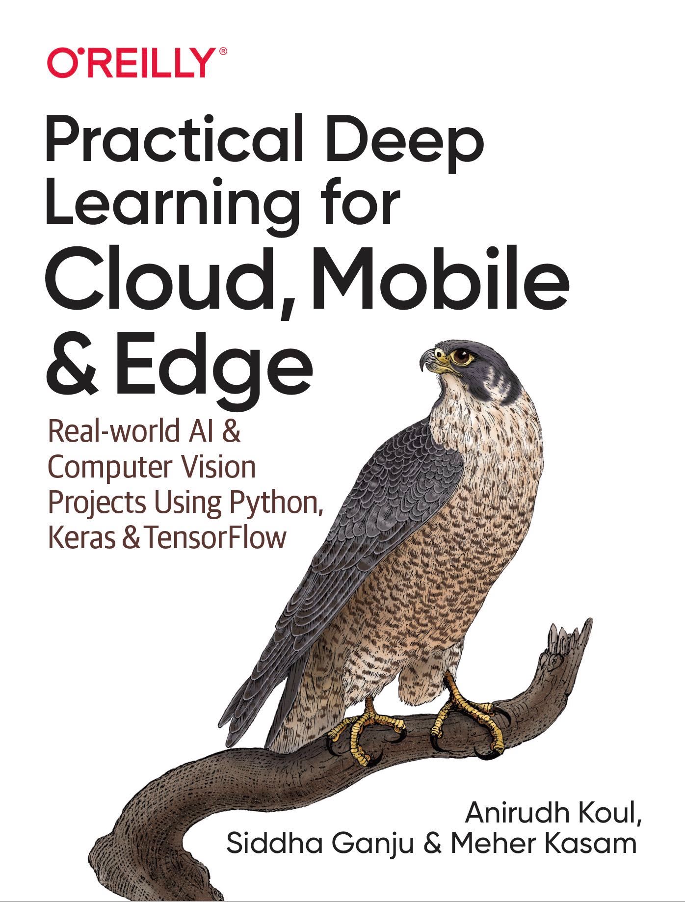 Practical Deep Learning for Cloud, Mobile and Edge cover