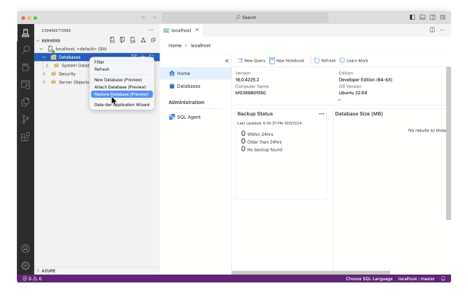 Access restore database feature